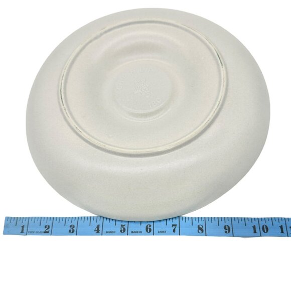 Chip N Dip Platter 11 Inch White With Blue Trim Pottery Dip Bowl Not Included - Picture 5 of 5